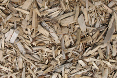 biomass boilers Llanfechain